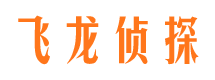 裕华市侦探公司